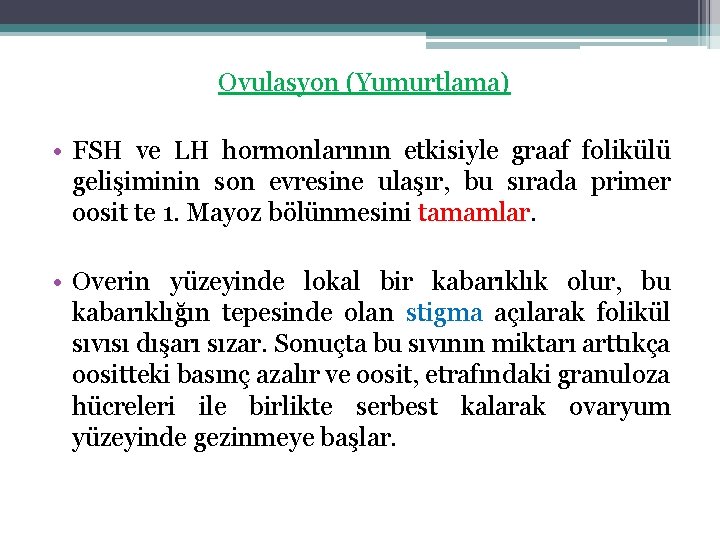 Ovulasyon (Yumurtlama) • FSH ve LH hormonlarının etkisiyle graaf folikülü gelişiminin son evresine ulaşır,