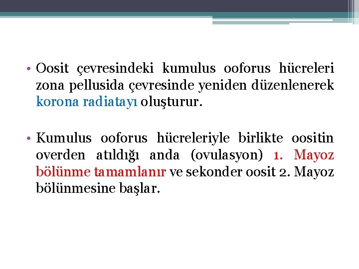  • Oosit çevresindeki kumulus ooforus hücreleri zona pellusida çevresinde yeniden düzenlenerek korona radiatayı