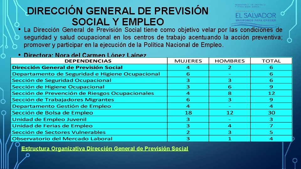 DIRECCIÓN GENERAL DE PREVISIÓN SOCIAL Y EMPLEO • La Dirección General de Previsión Social