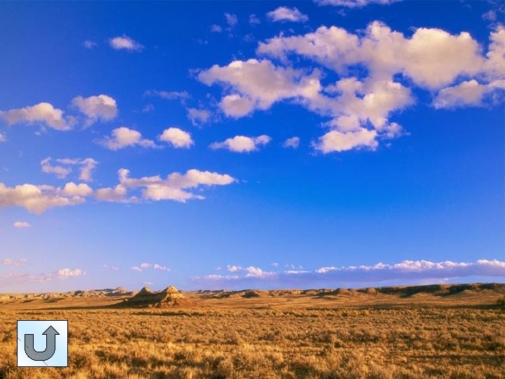 Cumulus Clouds 