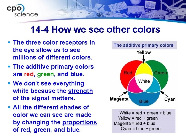 14 -4 How we see other colors § The three color receptors in the