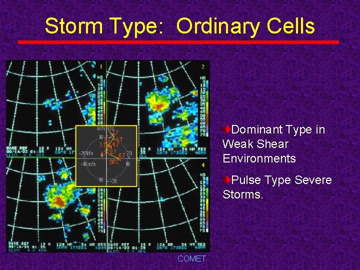 Storm Type: Ordinary Cells Dominant Type in Weak Shear Environments Pulse Type Severe Storms.