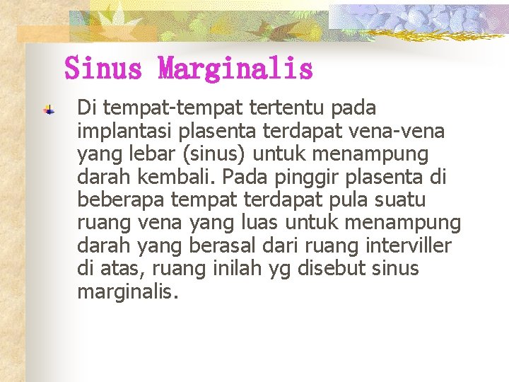 Sinus Marginalis Di tempat-tempat tertentu pada implantasi plasenta terdapat vena-vena yang lebar (sinus) untuk
