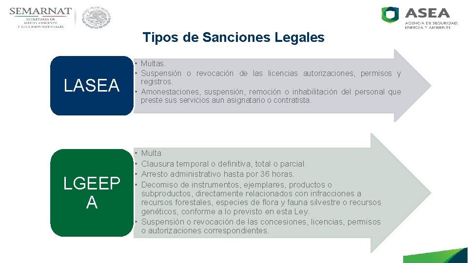 Tipos de Sanciones Legales LASEA LGEEP A • Multas. • Suspensión o revocación de