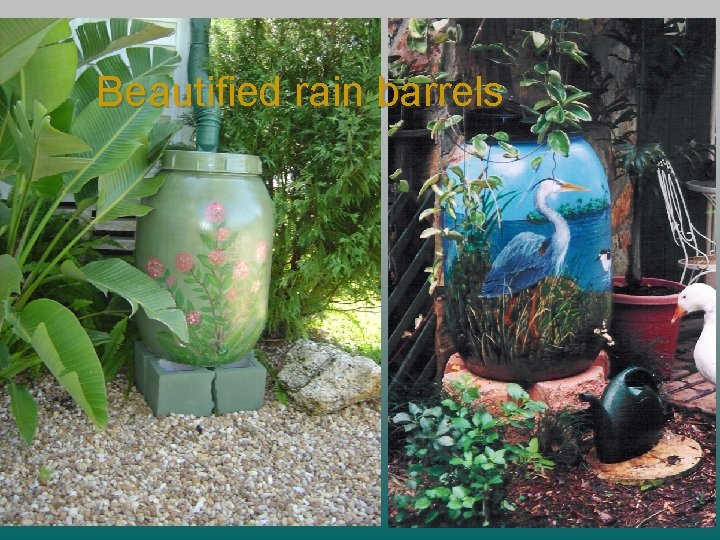 Beautified rain barrels 