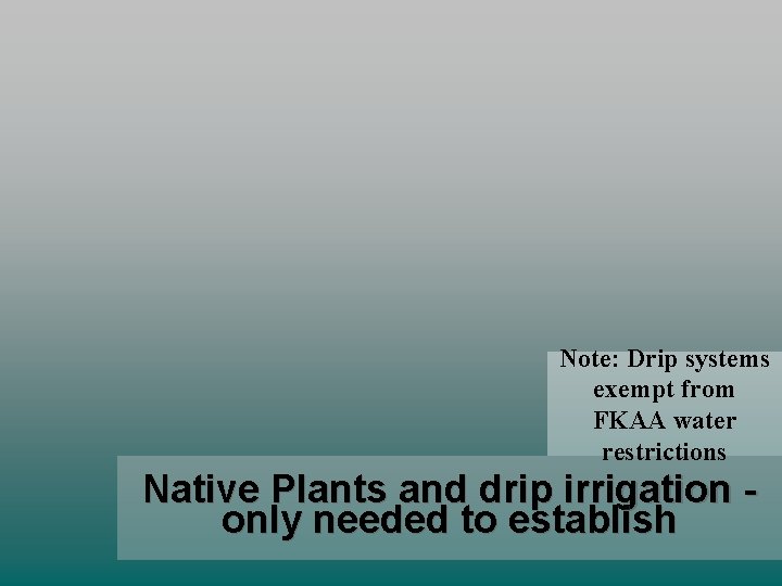 Note: Drip systems exempt from FKAA water restrictions Native Plants and drip irrigation only