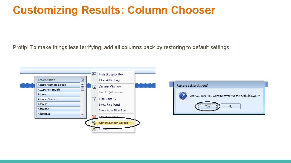 Customizing Results: Column Chooser Protip! To make things less terrifying, add all columns back