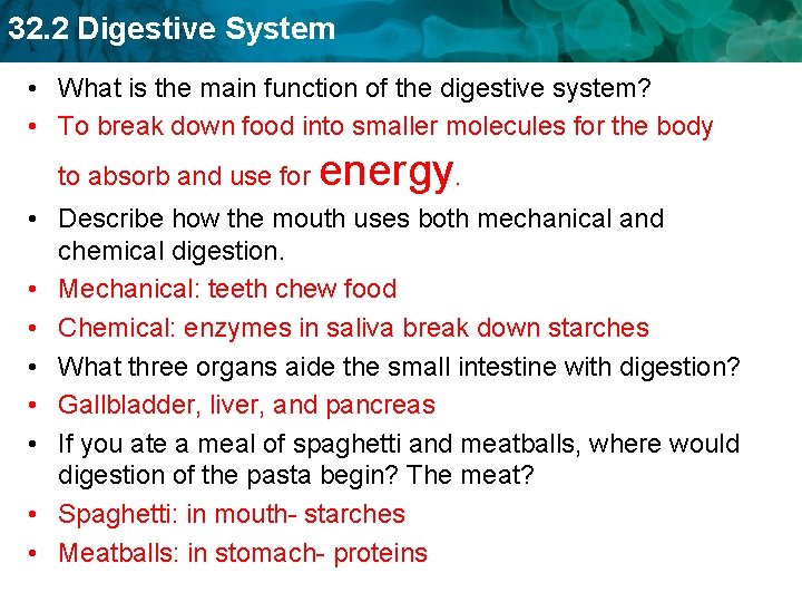 32. 2 Digestive System • What is the main function of the digestive system?