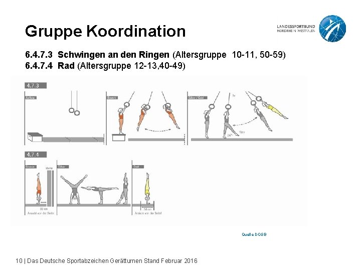 Gruppe Koordination 6. 4. 7. 3 Schwingen an den Ringen (Altersgruppe 10 -11, 50