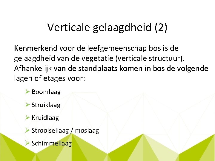 Verticale gelaagdheid (2) Kenmerkend voor de leefgemeenschap bos is de gelaagdheid van de vegetatie