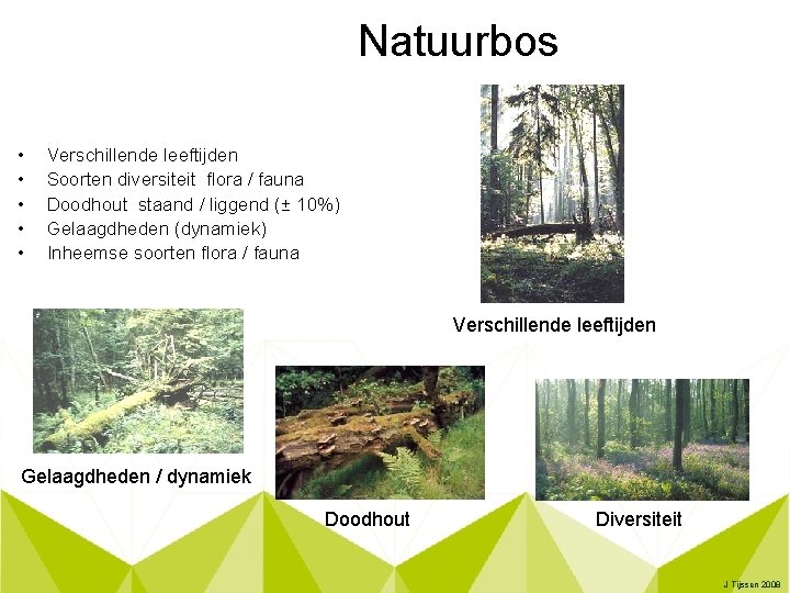 Natuurbos • • • Verschillende leeftijden Soorten diversiteit flora / fauna Doodhout staand /