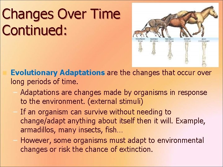 Changes Over Time Continued: n Evolutionary Adaptations are the changes that occur over long