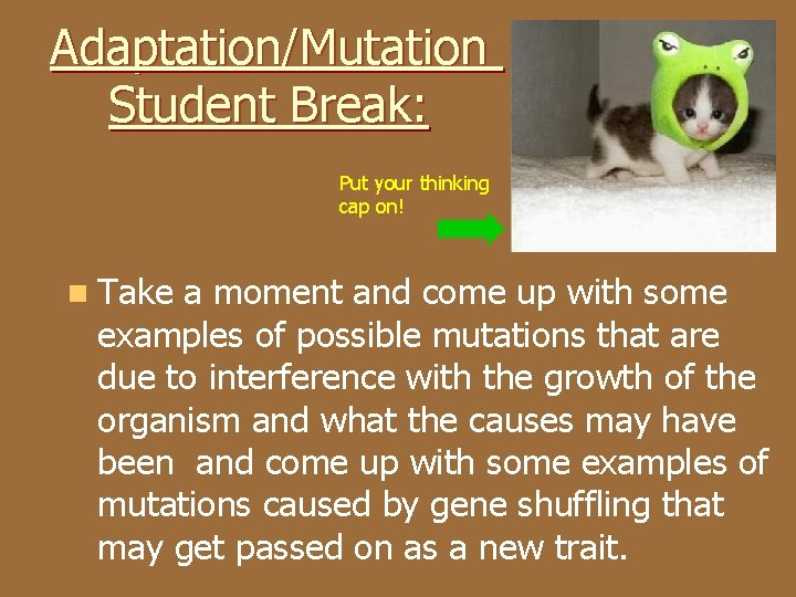 Adaptation/Mutation Student Break: Put your thinking cap on! n Take a moment and come