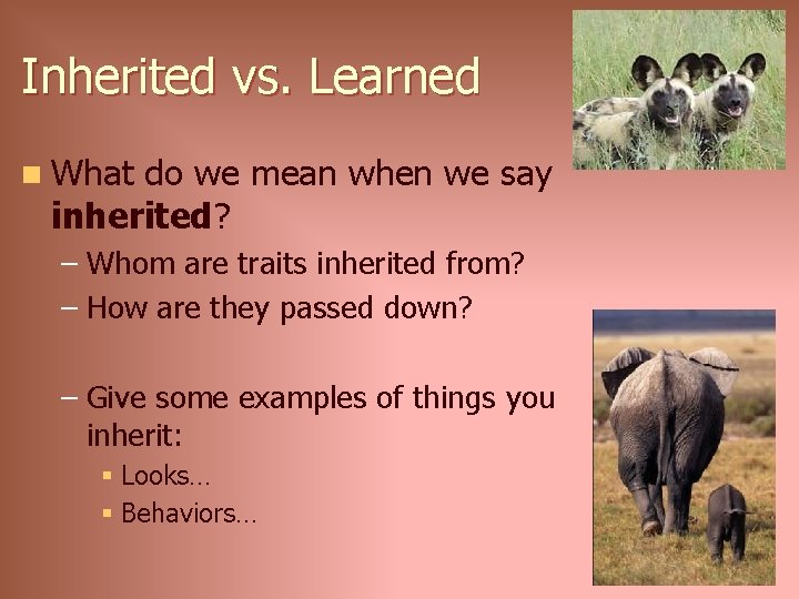 Inherited vs. Learned n What do we mean when we say inherited? – Whom