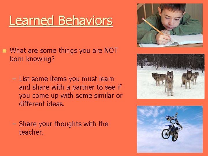 Learned Behaviors n What are some things you are NOT born knowing? – List