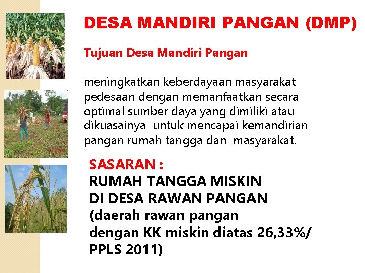 DESA MANDIRI PANGAN (DMP) Tujuan Desa Mandiri Pangan meningkatkan keberdayaan masyarakat pedesaan dengan memanfaatkan