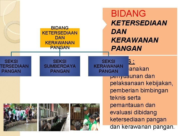 SEKSI TERSEDIAAN PANGAN BIDANG KETERSEDIAAN DAN KERAWANAN PANGAN SEKSI SUMBERDAYA PANGAN KETERSEDIAAN DAN KERAWANAN