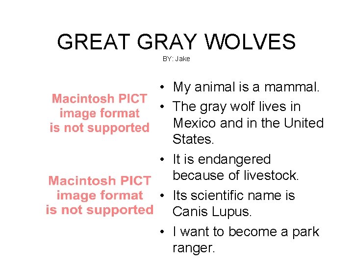 GREAT GRAY WOLVES BY: Jake • My animal is a mammal. • The gray