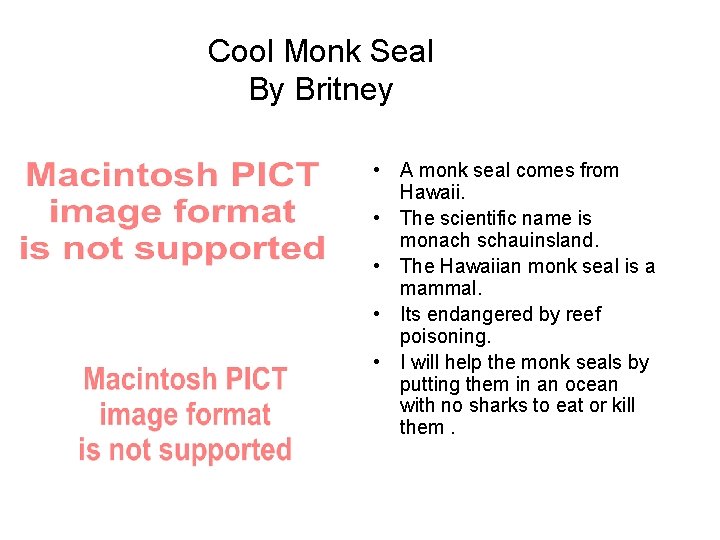 Cool Monk Seal By Britney • A monk seal comes from Hawaii. • The