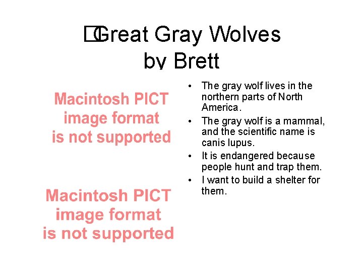 �Great Gray Wolves by Brett • The gray wolf lives in the northern parts