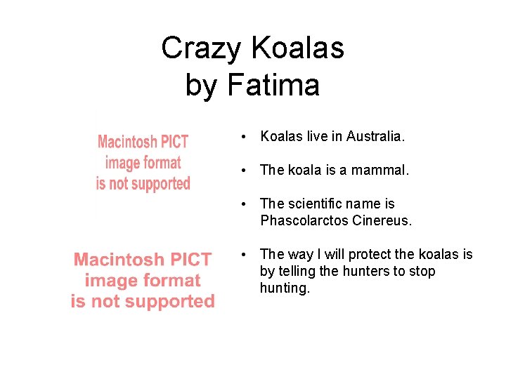 Crazy Koalas by Fatima • Koalas live in Australia. • The koala is a