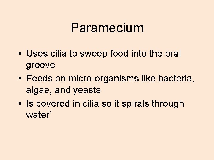 Paramecium • Uses cilia to sweep food into the oral groove • Feeds on