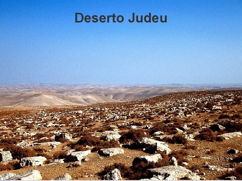 Deserto Judeu 