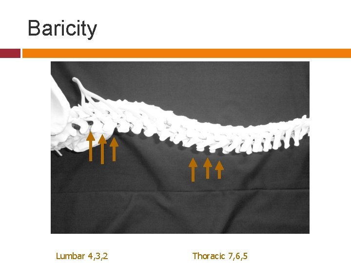 Baricity Lumbar 4, 3, 2 Thoracic 7, 6, 5 