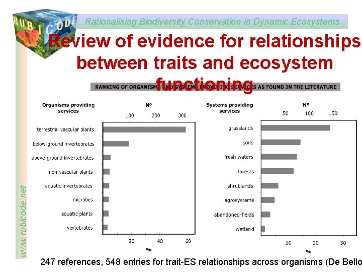 Rationalising Biodiversity Conservation in Dynamic Ecosystems www. rubicode. net Review of evidence for relationships