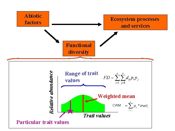 Abiotic factors Ecosystem processes and services Relative abundance Functional diversity Range of trait values