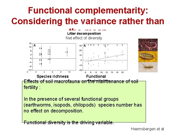 Functional complementarity: Considering the variance rather than the mean Litter decomposition Net effect of