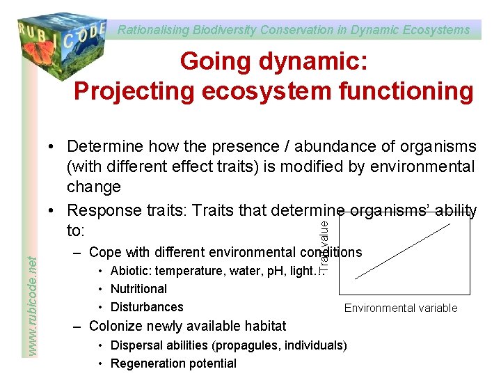 Rationalising Biodiversity Conservation in Dynamic Ecosystems Going dynamic: Projecting ecosystem functioning Trait value www.