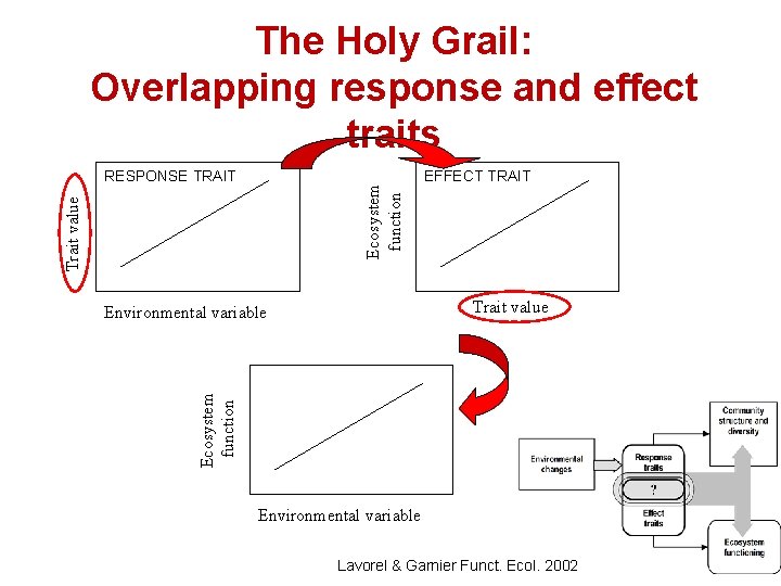 The Holy Grail: Overlapping response and effect traits Trait value Ecosystem function RESPONSE TRAIT
