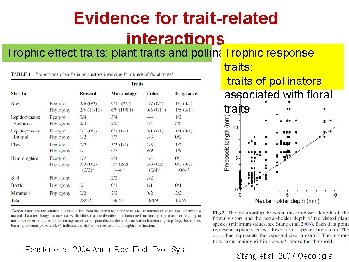 Evidence for trait-related interactions Trophic response Trophic effect traits: plant traits and pollinators traits: