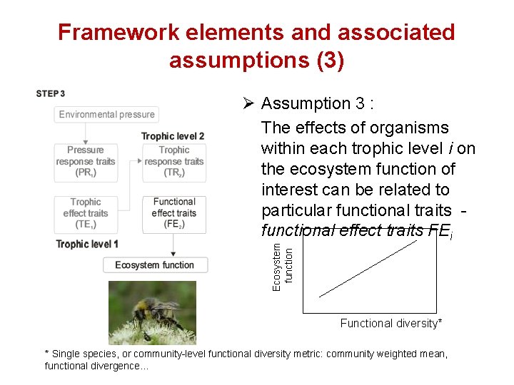 Framework elements and associated assumptions (3) Ecosystem function Ø Assumption 3 : The effects