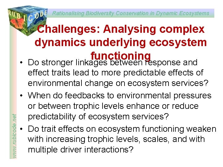 Rationalising Biodiversity Conservation in Dynamic Ecosystems www. rubicode. net Challenges: Analysing complex dynamics underlying