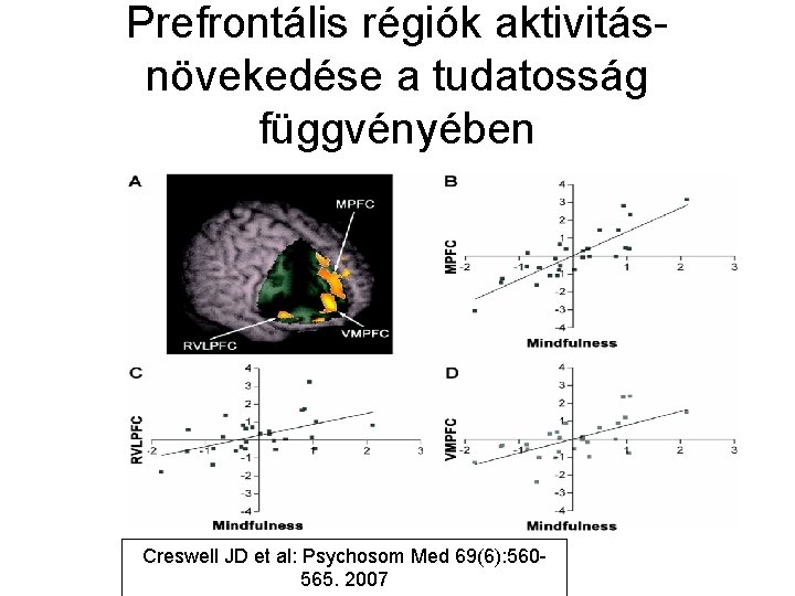Prefrontális régiók aktivitásnövekedése a tudatosság függvényében Creswell JD et al: Psychosom Med 69(6): 560565.