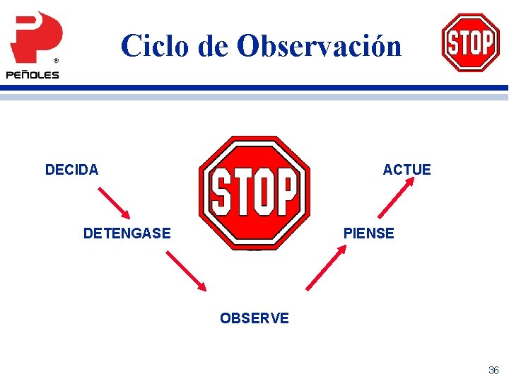 Ciclo de Observación DECIDA ACTUE DETENGASE PIENSE OBSERVE 36 