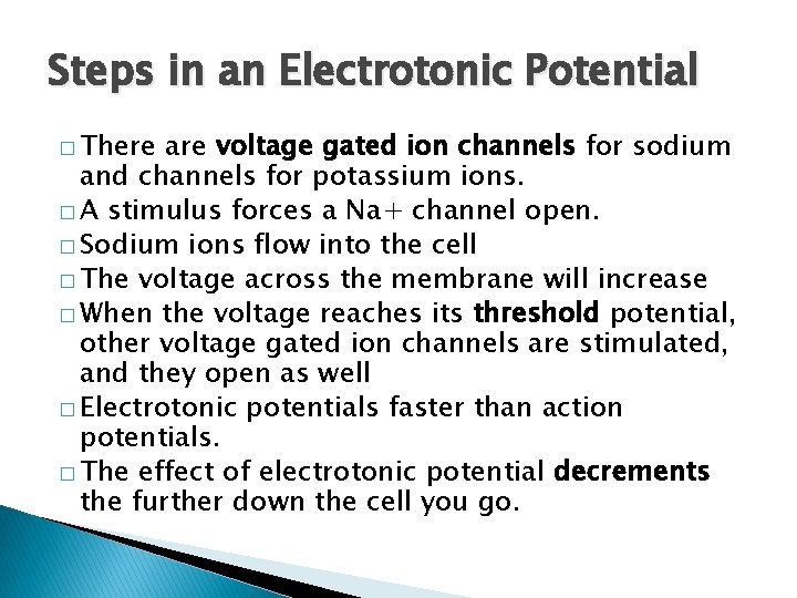 Steps in an Electrotonic Potential � There are voltage gated ion channels for sodium