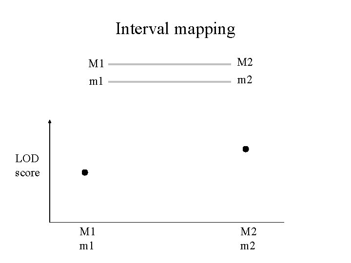 Interval mapping M 1 M 2 m 1 m 2 LOD score M 1