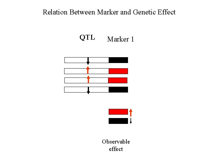 Relation Between Marker and Genetic Effect QTL Marker 1 Observable effect 
