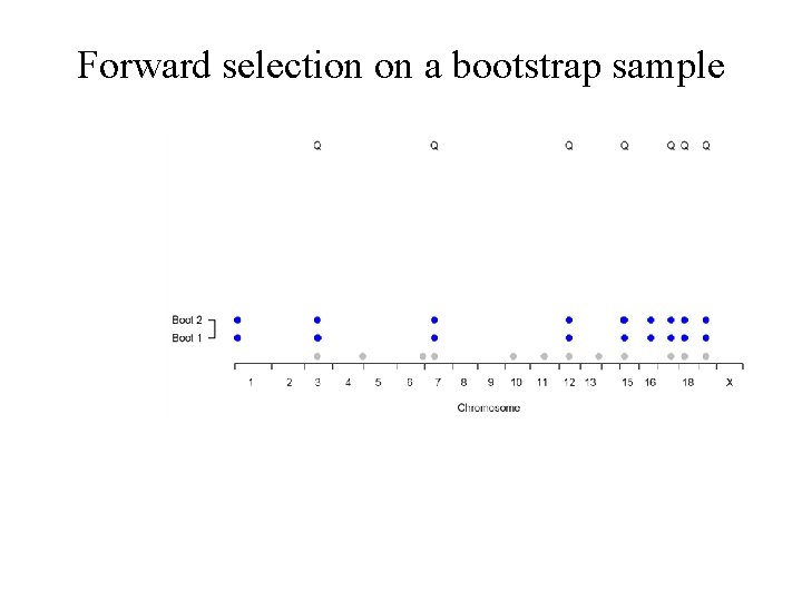 Forward selection on a bootstrap sample 