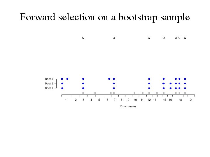 Forward selection on a bootstrap sample 