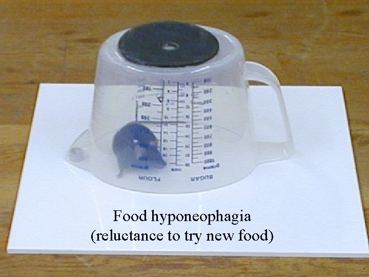 Food hyponeophagia (reluctance to try new food) 