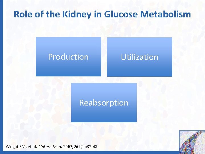 Role of the Kidney in Glucose Metabolism Production Utilization Reabsorption Wright EM, et al.