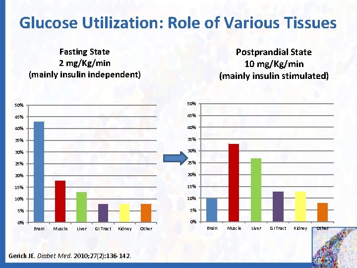 Glucose Utilization: Role of Various Tissues Postprandial State 10 mg/Kg/min (mainly insulin stimulated) Fasting