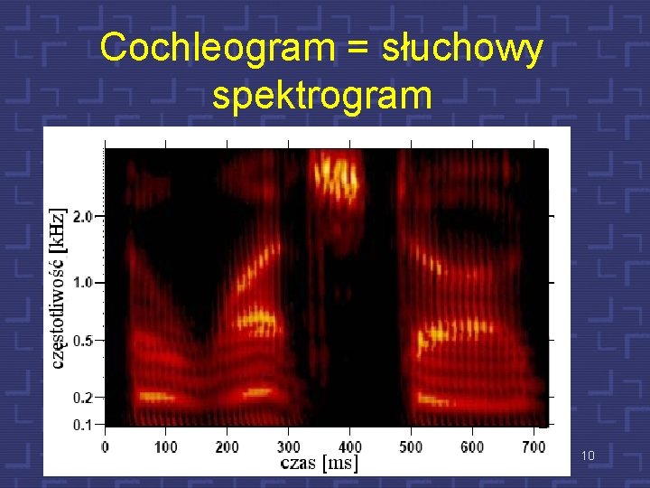 Cochleogram = słuchowy spektrogram 10 