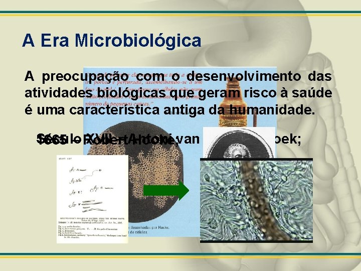 A Era Microbiológica A preocupação com o desenvolvimento das atividades biológicas que geram risco