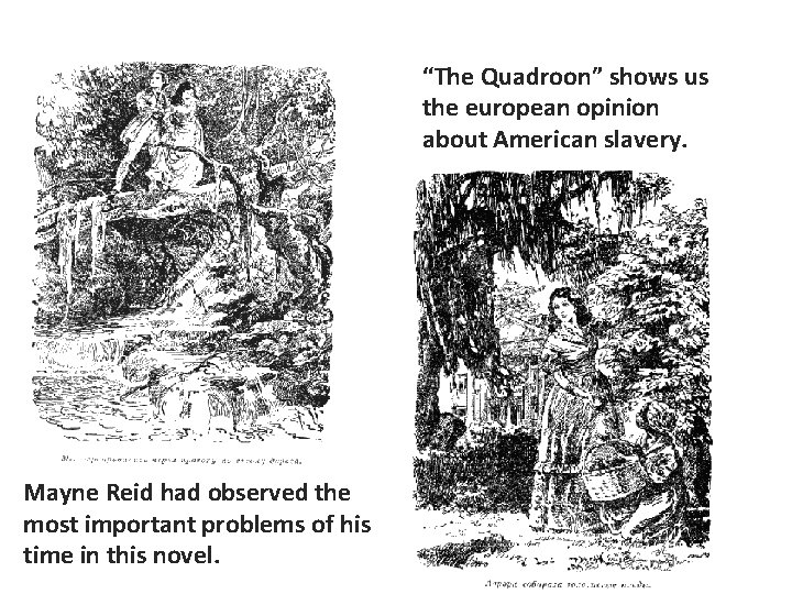 “The Quadroon” shows us the european opinion about American slavery. Mayne Reid had observed
