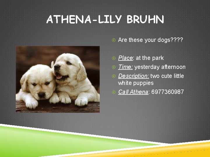 ATHENA-LILY BRUHN Are these your dogs? ? Place: at the park Time: yesterday afternoon
